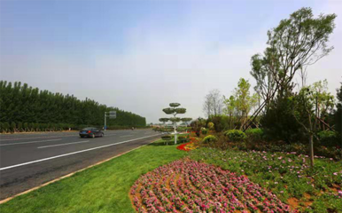 【聚焦發(fā)展瞰章丘】系列報(bào)道園林和林業(yè)綠化局:讓生態(tài)文明建設(shè)成果全民共享