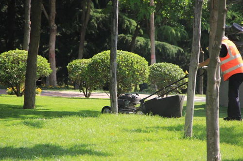 風(fēng)景園林施工涉及哪些技術(shù)