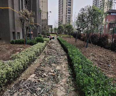 亳州綠化養(yǎng)護(hù)工程