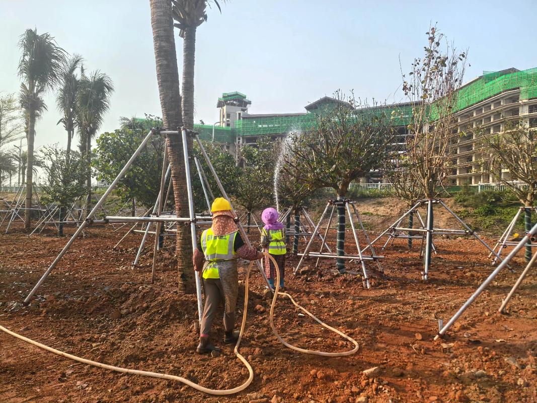 努力不一定有結(jié)果,但不努力一定沒有結(jié)果.專業(yè)園林景觀綠化施工