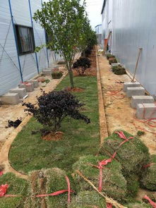 南昌自建房周邊綜合工程施工要點(diǎn)與注意事項(xiàng)