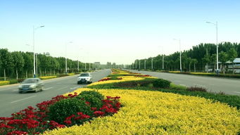 綠動(dòng)磁州，健行未來(lái) 八項(xiàng)重點(diǎn)工程繪就園林縣城新畫(huà)卷